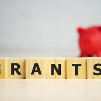 the word of GRANTS on building blocks concept